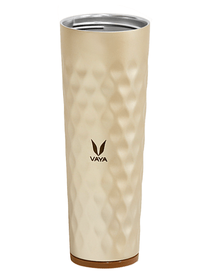 Vaya Drynk Premium Insulated Bottle