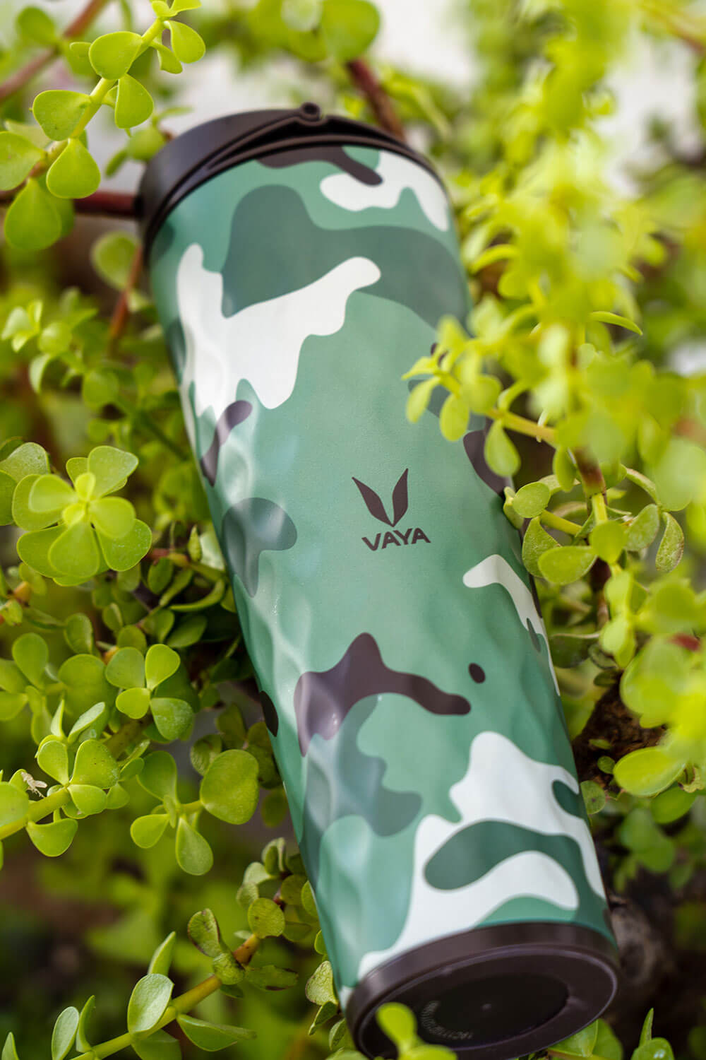 Vaya Drynk - What You Get